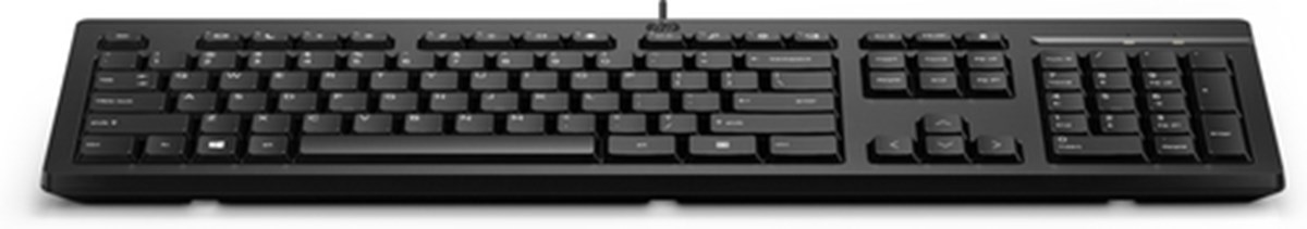 HP TASTIERA KBD 125 WD,INTERFACCIA USB,NERO
