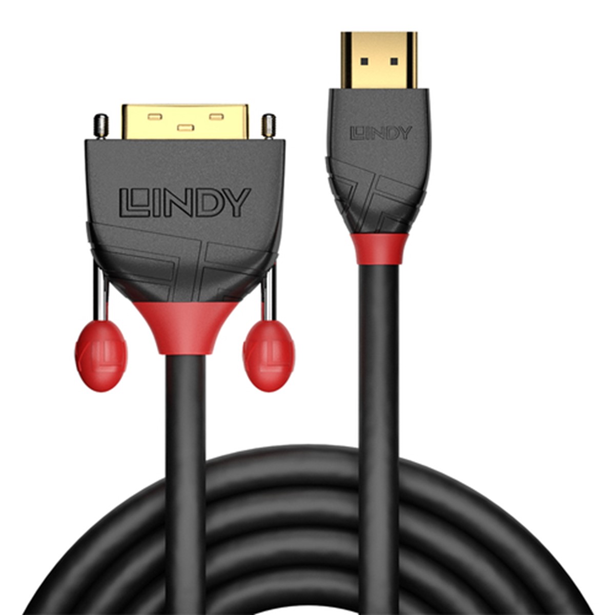 LINDY CAVO DVI-D HDMI M/M BLACK 0.5M