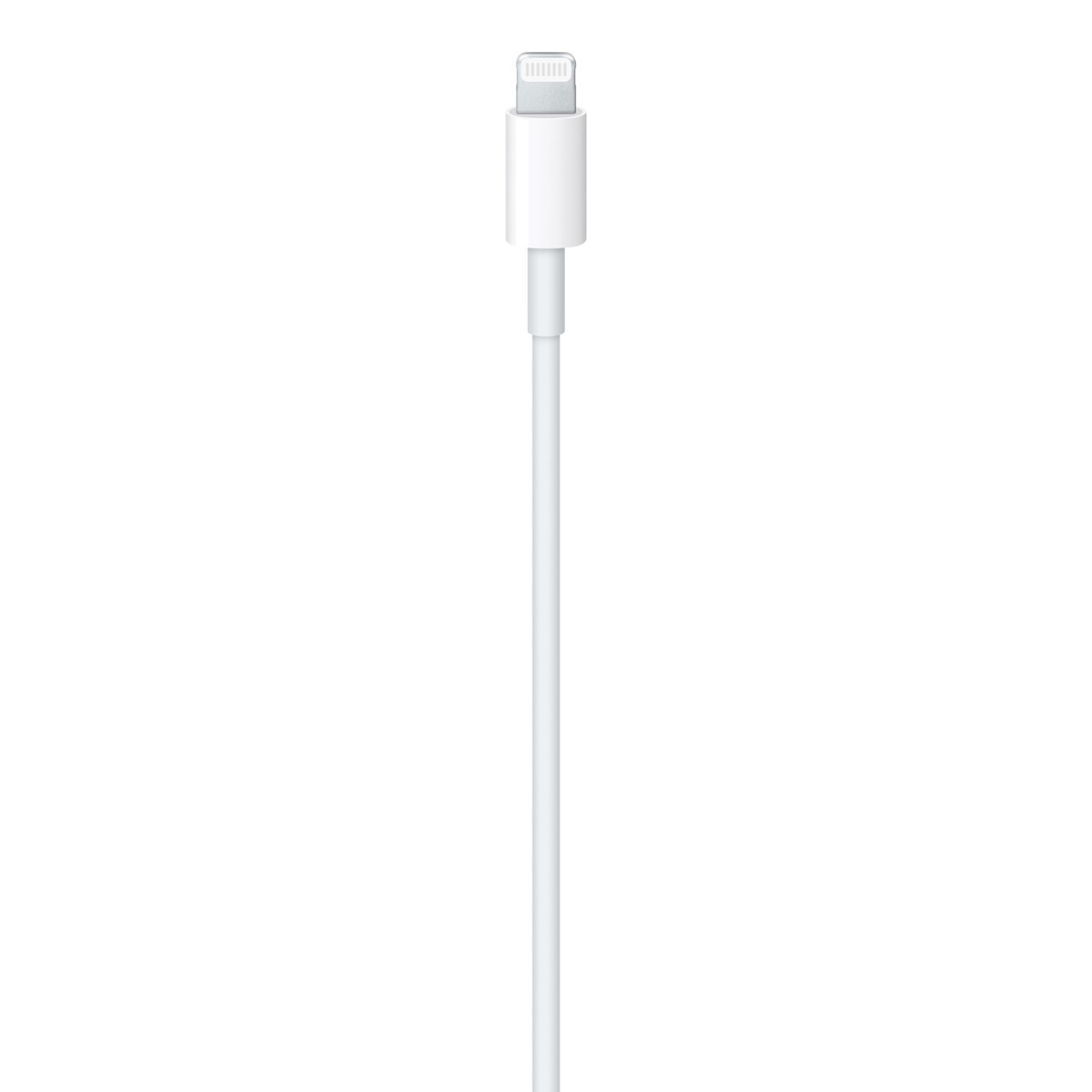 APPLE CAVO USB-C A LIGHTNING (1M) 10/21