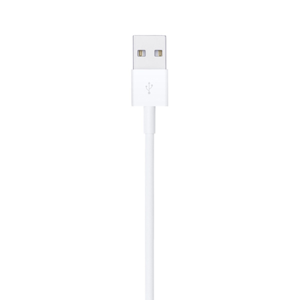 APPLE CAVO LIGHTNING TO USB CABLE (1 M)