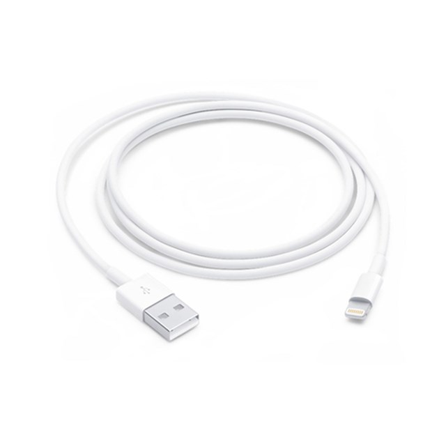 APPLE CAVO LIGHTNING TO USB CABLE (1 M)